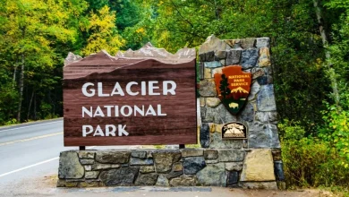 Apparent bear attack kills missing hiker in Montana's Glacier National Park