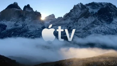 Apple TV has its best reviewed shows of the year airing right now