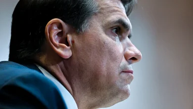 Audit Immunity for Trump Family Puts I.R.S. in a Bind