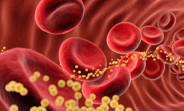 Bad cholesterol slashed 62% by single dose of gene-editing drug in small trial