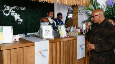 Bahamas-bound cruise ships to face temporary alcohol ban