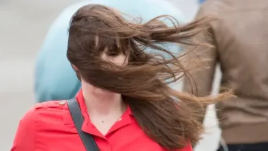 Batten down the hatches: 100 km/h winds, rain — or snow — to sweep across Alberta