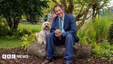 Battersea dogs enjoy ex-Chelsea Flower Show garden