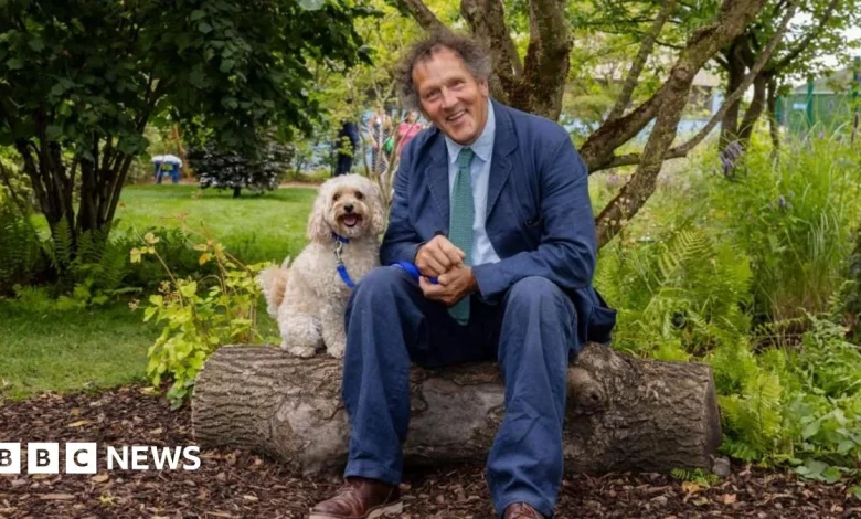 Battersea dogs enjoy ex-Chelsea Flower Show garden