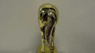 Behold, the Elon Musk jackass trophy