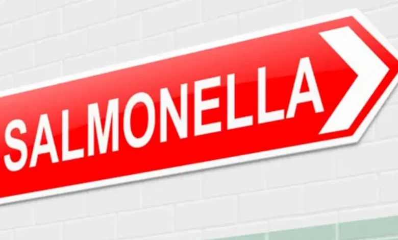 Belgian committee looks at changes to Salmonella rules