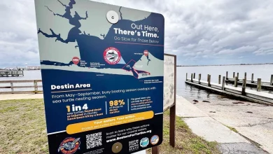 'Boaters for Turtles' campaign launches in Destin-area waters to curb turtle strikes