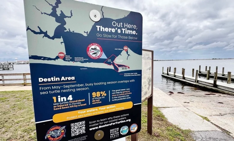 'Boaters for Turtles' campaign launches in Destin-area waters to curb turtle strikes