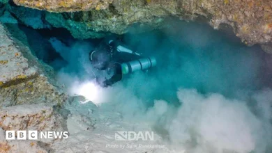Bodies of Italian divers did not have optimal equipment, says rescuer