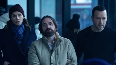 Boston Blue Season 1, Episode 17 Recap: Bridget Moynahan's Erin Reagan Returns