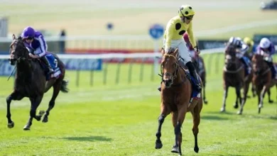 Bow Echo Magnificent in Two Thousand Guineas Victory