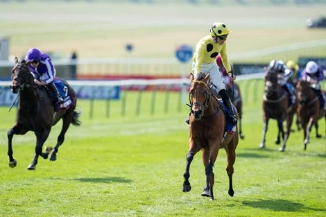 Bow Echo Magnificent in Two Thousand Guineas Victory