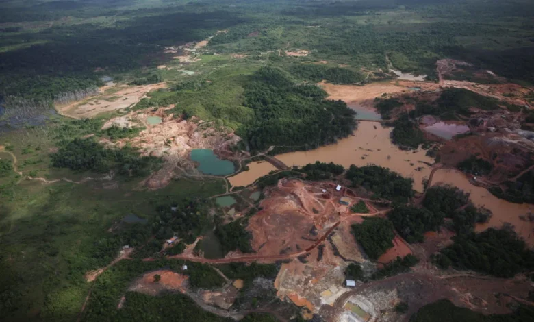 Brazilian government commits $617.5M to Amazon ecological investment