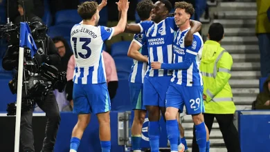 Brighton vs Wolves – Match preview and team news
