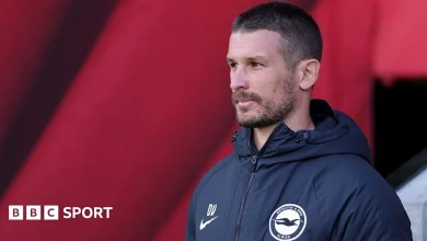 Brighton's Vidosic hopes to honour late father in FA Cup final