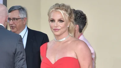 Britney Spears Pleads Guilty to Reckless Driving