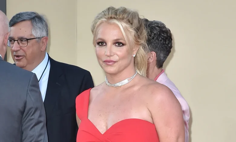 Britney Spears Pleads Guilty to Reckless Driving