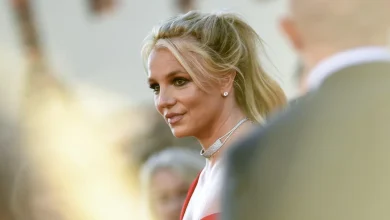 Britney Spears pleads guilty to reckless driving after DUI arrest