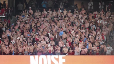 Busch Stadium is electric one again after shirtless Cardinals fans stole the show
