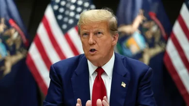 CNBC anchor thinks CEOs are 'very scared' to criticize Trump because the fear of retaliation