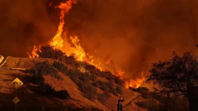 Calif. Takes 'Major Enforcement Action' Against State Farm