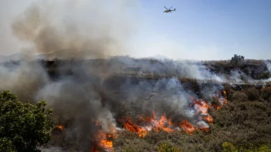 California’s Wildfire Season Is Already Overactive