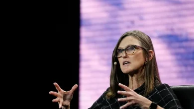 Cathie Wood loads up on Cerebras after blockbuster IPO debut (CBRS:NASDAQ)