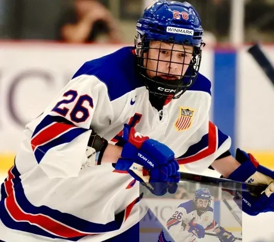 Centers Red Wings Might Consider in Second Round