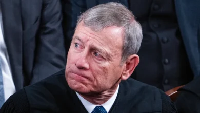 Chief Justice John Roberts says American public wrongly views the justices as ‘political actors’