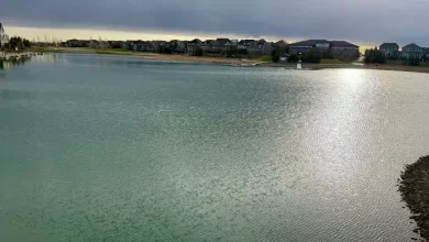 Child in life-threatening condition after reported drowning at Mahogany Beach