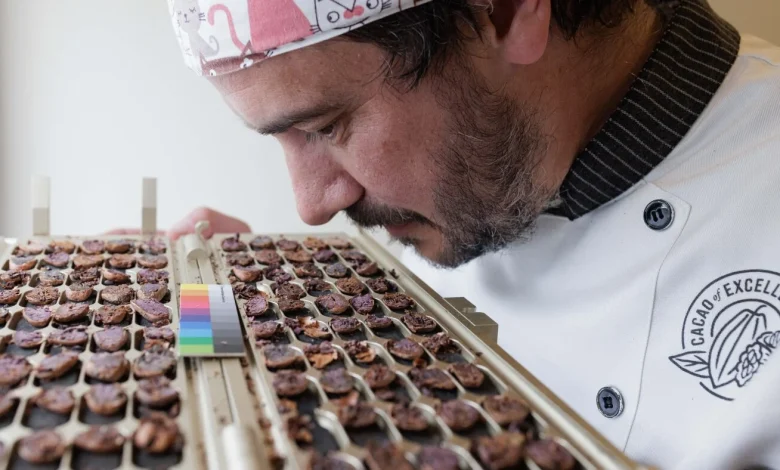 Chocolate now has standards for excellence, like wine and coffee : NPR