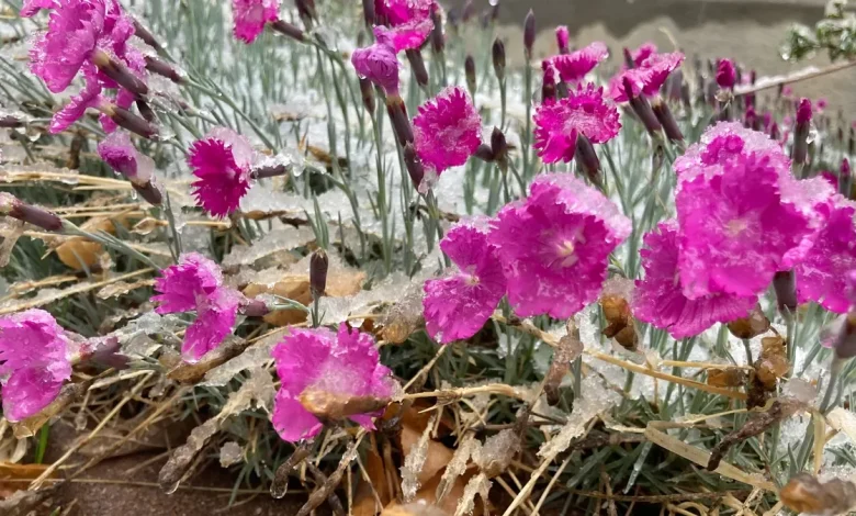 Colorado spring storm produces hail. Snow, rain in forecast this week