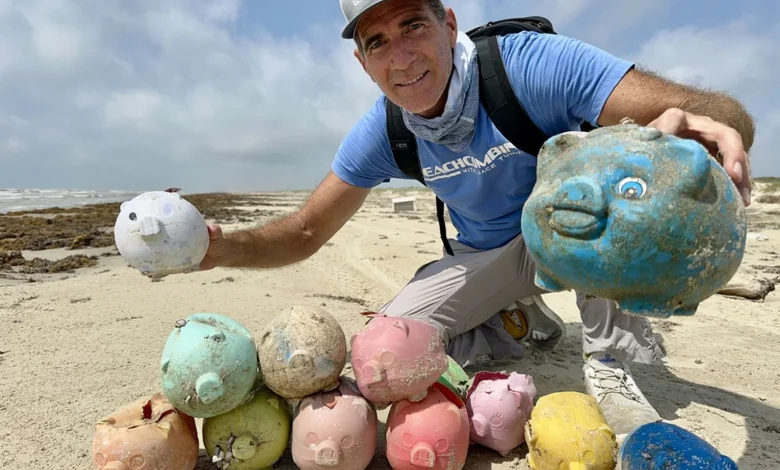 Colorful Sea Pigs mysterious visitors to Texas Coast