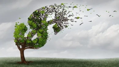 Concentration risk emerging among newer vintage loans, FHA borrowers
