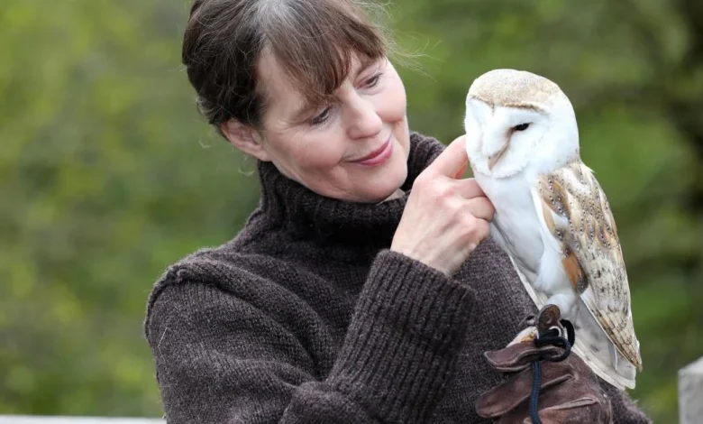 Concerns that county's owl population could pay the price of bypass