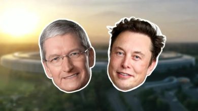 Court grants Musk’s bid to add Craig Federighi to Apple/OpenAI lawsuit, spares Cook