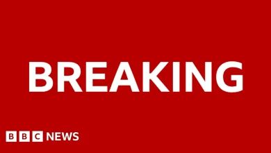 Court overturns Alex Murdaugh's murder convictions and orders new trial