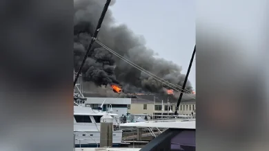 Crews battle fire at building on USF St. Pete campus