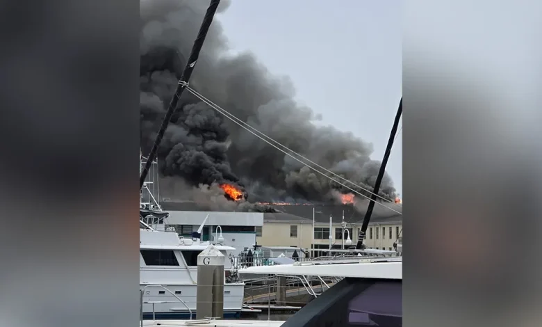 Crews battle fire at building on USF St. Pete campus