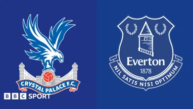 Crystal Palace vs Everton: Premier League preview, team news, stats & head-to-head