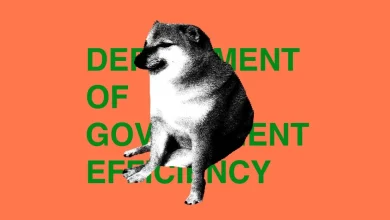 DOGE used ChatGPT in a way that was both dumb and illegal, judge rules