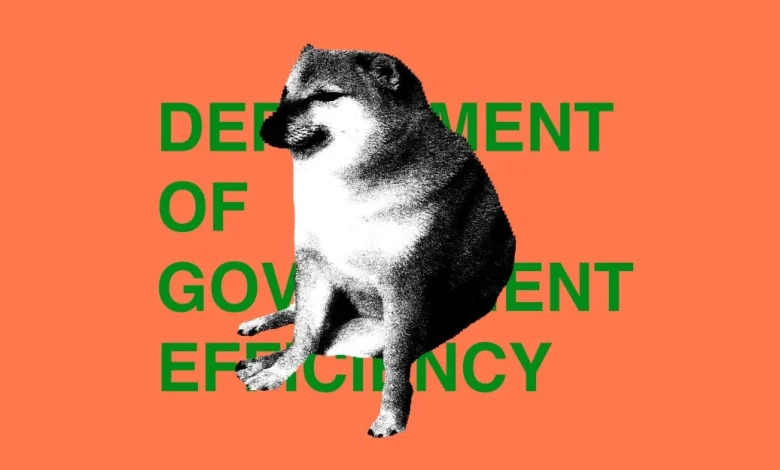 DOGE used ChatGPT in a way that was both dumb and illegal, judge rules