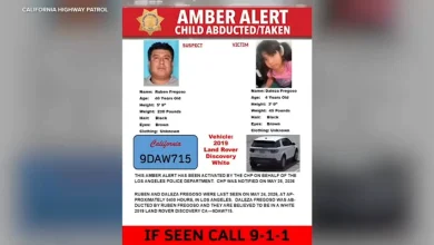 Daleza Fregoso abducted by Ruben Fregoso: Amber Alert issued for 4-year-old girl last seen in Arlington Heights, Los Angeles