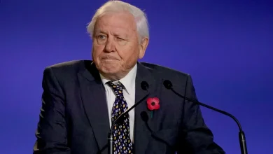 David Attenborough Shares ‘Most Important’ Way to Connect Children With Nature