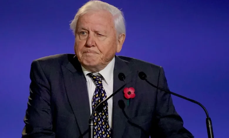 David Attenborough Shares ‘Most Important’ Way to Connect Children With Nature