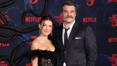 David Harbour Finally Reunites With ‘Stranger Things’ Costars 7 Months After Missing Finale Events