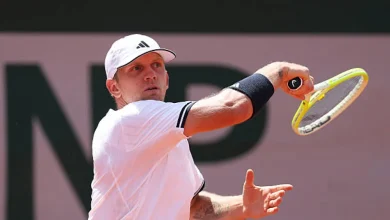 Davidovich pulls off an epic performance to survive against Dzumhur at Roland Garros. Translation: Davidovich tire une performance épique pour survivre contre Dzumhur à Roland Garros