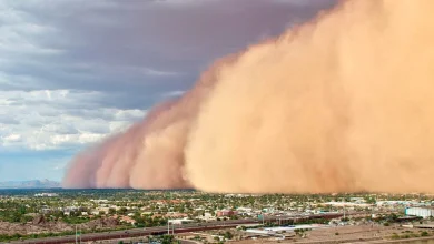 Deadly fungal storms are now sweeping the US – and spreading a disease few doctors recognise