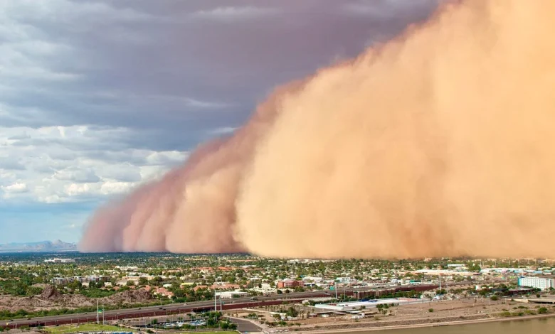 Deadly fungal storms are now sweeping the US – and spreading a disease few doctors recognise