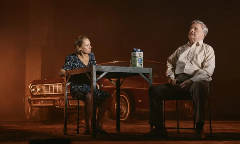 'Death of a Salesman' Director o Nathan Lane Revival, Scott Rudin
